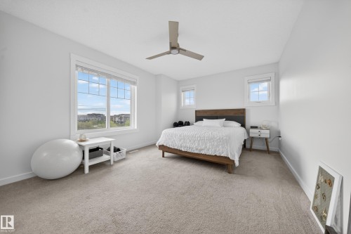 Carpeted room featuring a large window, two smaller windows, a ceiling fan, and a wood-finish bed frame with an upholstered headboard - 5 903 Crystallina Nera Way, Edmonton, AB 