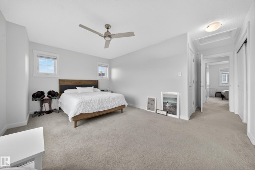 Carpeted bedroom featuring a contemporary ceiling fan, two windows with white trim, and a wood-finish headboard - 5 903 Crystallina Nera Way, Edmonton, AB 