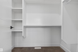 White walk-in closet featuring built-in shelving, a garment rod, and plush carpet flooring - 