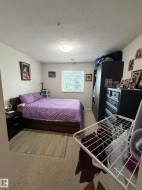 Carpeted room with a central window and a flush-mount ceiling light fixture - 