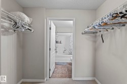 Walk-in closet featuring wire shelving and carpet flooring - 