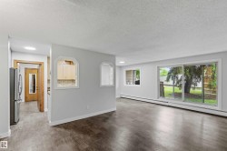 Spacious room featuring wood-finish flooring, light grey wall paint, and white baseboards - 