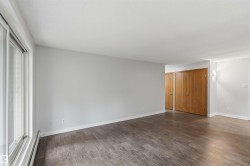 Spacious room featuring wood-finish flooring, light grey walls, and a large window - 
