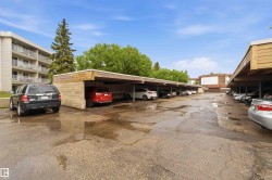 Covered parking structures featuring wood-look siding and a flat roofline - 