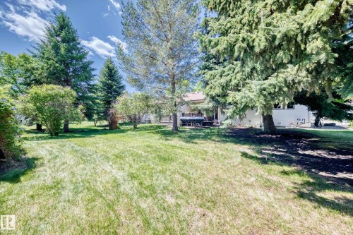 Expansive rear yard with a verdant lawn and mature evergreen trees - 10822 11 Avenue, Edmonton, AB 