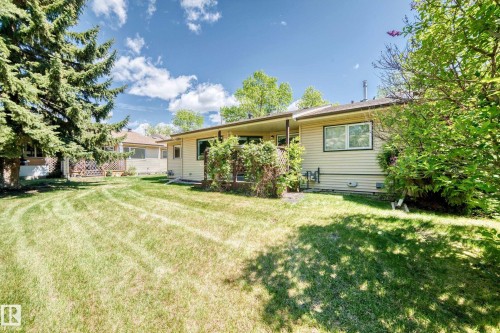 Expansive green lawn with mature evergreen and deciduous trees - 10822 11 Avenue, Edmonton, AB 