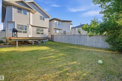 Expansive backyard featuring a manicured lawn, full privacy fence, and a raised wooden deck - 1560 37B Avenue, Edmonton, AB 