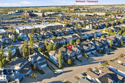 Aerial perspective of a residential neighborhood featuring detached homes with attached garages and mature landscaping - 1560 37B Avenue, Edmonton, AB 