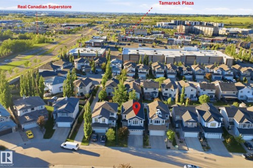Aerial perspective showcasing a residential neighborhood with detached homes, mature trees, and paved streets - 1560 37B Avenue, Edmonton, AB 