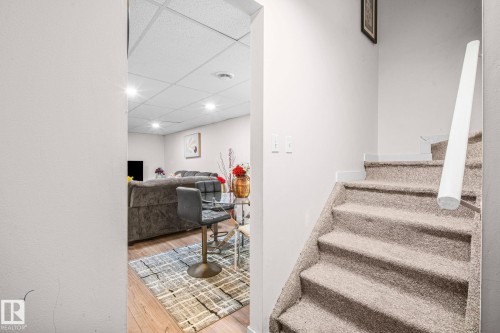 Carpeted staircase with white handrail leading to a lower level featuring wood-finish flooring, a drop ceiling with recessed lighting, and light-toned walls - 4806 117 Ave, Edmonton, AB 