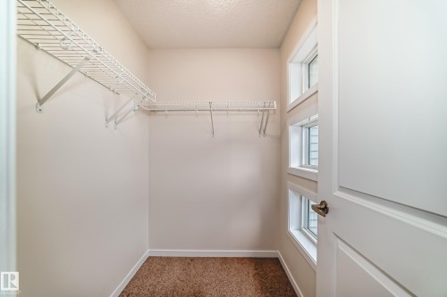 Walk-in closet featuring wire shelving, multiple windows, and carpet flooring - 18103 77 Street, Edmonton, AB 