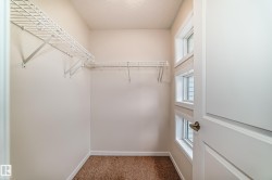 Walk-in closet featuring wire shelving, multiple windows, and carpet flooring - 