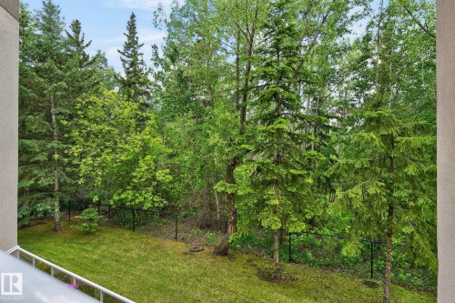 Lush green backyard with a manicured lawn and a variety of mature trees, bordered by a black metal fence - 208 5 Gate Avenue, St. Albert, AB 