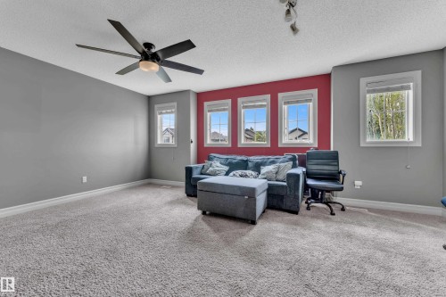 Spacious room featuring plush carpeting, a vibrant accent wall, four windows, and a ceiling fan with integrated lighting - 6116 11 Avenue, Edmonton, AB 