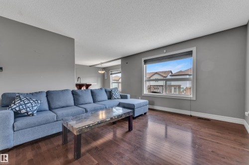 Spacious living area featuring wood-finish flooring, a large window, and light gray walls - 6116 11 Avenue, Edmonton, AB 