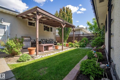 Expansive backyard featuring a manicured lawn, a covered patio with a wooden pergola, and mature landscaping - 3208 70 Street, Edmonton, AB 