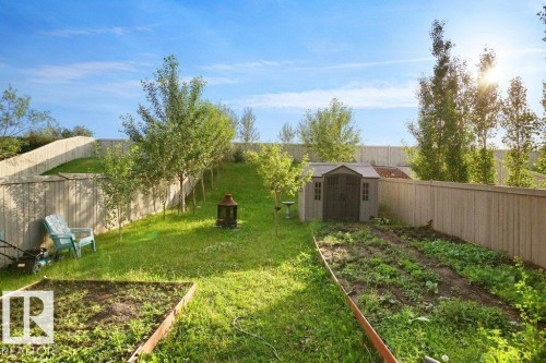 Expansive backyard featuring a lush lawn, multiple mature trees, a dedicated garden bed, a raised garden planter, and a storage shed - 3756 8 Street, Edmonton, AB 