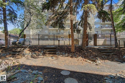 Exterior grounds featuring mature trees and a structured stone pathway - 11150 83 Avenue, Edmonton, AB 