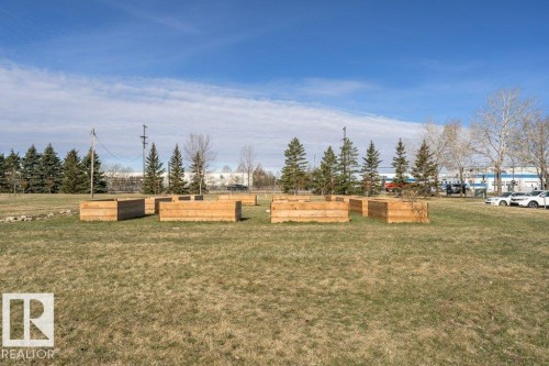 Expansive green space featuring multiple raised wooden garden beds - 233 Oak Wood Drive, Edmonton, AB 