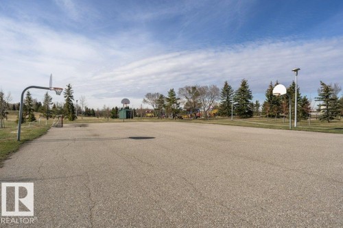 Paved sports court featuring basketball hoops and a soccer goal, surrounded by mature evergreen trees - 233 Oak Wood Drive, Edmonton, AB 
