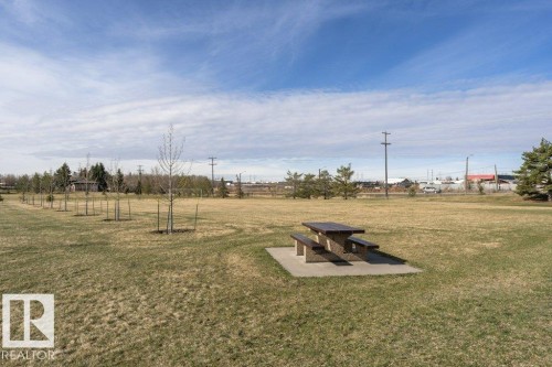 Expansive outdoor space featuring a picnic table on a concrete pad, a row of young deciduous trees, mature evergreen trees, and a distant background of commercial structures - 233 Oak Wood Drive, Edmonton, AB 