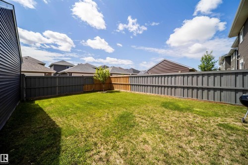 Expansive backyard featuring a manicured lawn, a young deciduous tree, and a full perimeter fence - 16123 31 Avenue, Edmonton, AB 