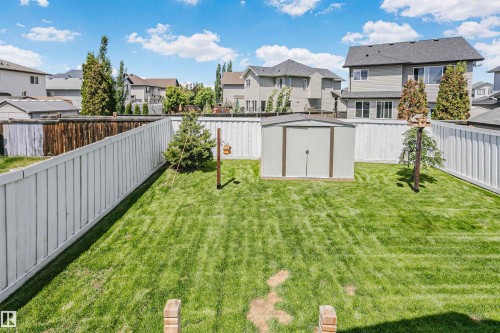 Expansive fenced backyard featuring a metal storage shed, mature evergreen trees, and a well-maintained lawn - 4228 162 Avenue, Edmonton, AB 