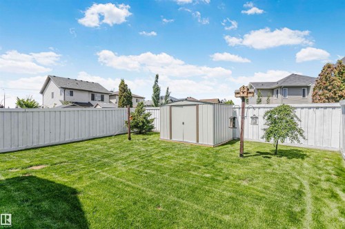 Expansive backyard featuring a manicured lawn, a white privacy fence, and a metal storage shed - 4228 162 Avenue, Edmonton, AB 