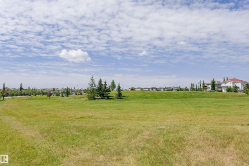 Yard - 4228 162 Avenue, Edmonton, AB 