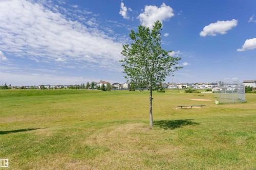 Expansive green space featuring a young tree, a baseball diamond with a backstop, and a bench - 4228 162 Avenue, Edmonton, AB 