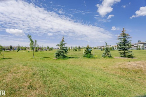 Expansive green space featuring mature evergreen trees and a bright blue sky with scattered clouds - 4228 162 Avenue, Edmonton, AB 