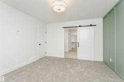Spacious room featuring light gray carpeting, a decorative wall panel in a soft green hue, and a white barn door on a black rail system - 