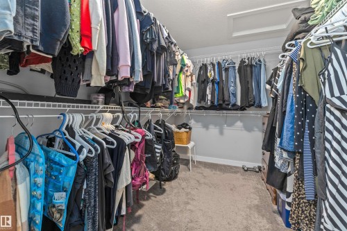 Walk-in closet featuring built-in wire shelving and hanging rods, light gray wall paint, and gray carpet flooring - 607 40 Street, Edmonton, AB 