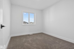 Neutral wall tones with a window and textured carpet flooring - 