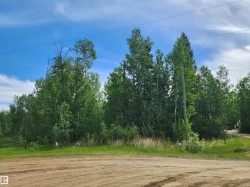 #28 Village west Rural Wetaskiwin County, AB T0C 0V0