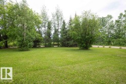 Expansive green lawn framed by mature trees, including deciduous and evergreen varieties, providing natural landscaping - 