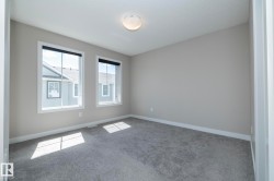 Neutral-toned room featuring a light grey carpet, two windows with black roller blinds, and white trim - 