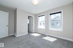 Spacious room featuring neutral painted walls, two windows with black roller shades, white trim, and light gray carpeting - 