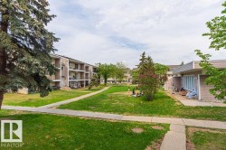 Expansive green space featuring mature trees and established landscaping - 