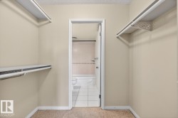 Walk-in closet featuring carpet flooring, shelving, and hanging rods - 