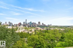 Expansive urban landscape featuring a distant city skyline with high-rise buildings, a prominent arch bridge spanning a river, and extensive green foliage in the foreground - 