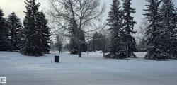 Image quality insufficient for description - 