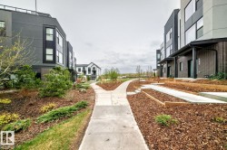 Modern townhomes featuring a contemporary architectural design, multiple windows, and covered entryways - 
