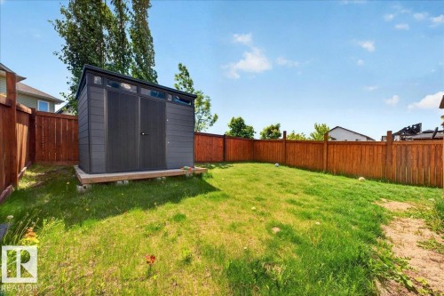 Expansive backyard featuring a gray storage shed, wood plank fencing, and a grassy area - 1411 30 Avenue, Edmonton, AB 