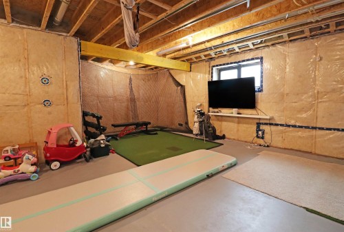 100 Graybriar Drive, Stony Plain, AB - Indoor Photo Showing Basement