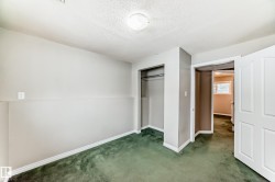 Room featuring green carpeting and neutral wall tones - 