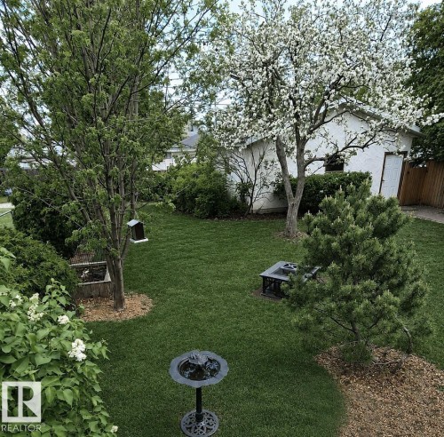 Yard - 9813 152 Street, Edmonton, AB 