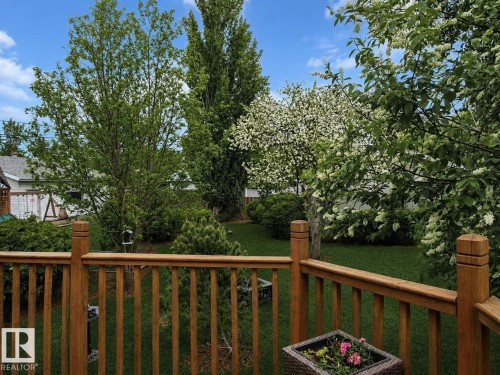 Expansive backyard featuring a manicured lawn, established trees, blooming shrubs, and natural wood deck railing - 9813 152 Street, Edmonton, AB 