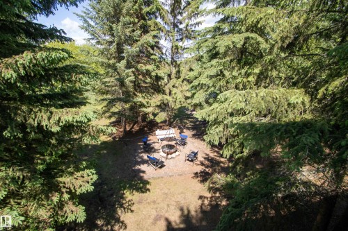 Grassy area nestled among mature evergreen trees - 104 60201 Rng Rd 122, Rural St. Paul County, AB 