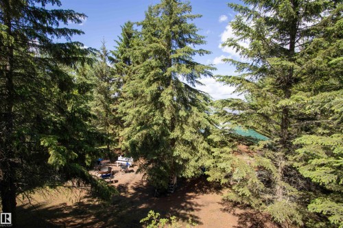Forested setting featuring numerous mature evergreen trees and a partially visible body of water - 104 60201 Rng Rd 122, Rural St. Paul County, AB 